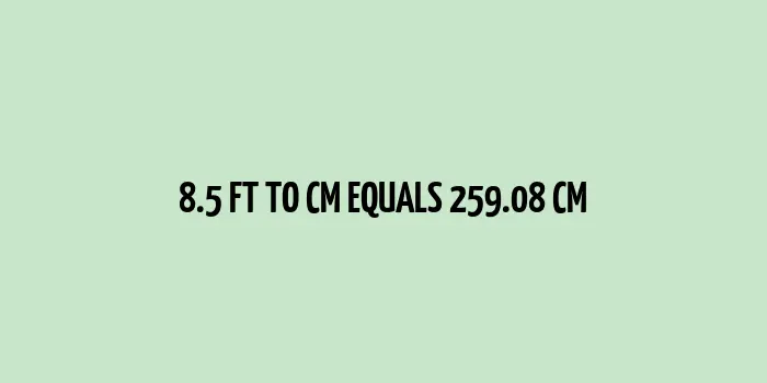 8.5 ft to cm (Feet to Centimeters)